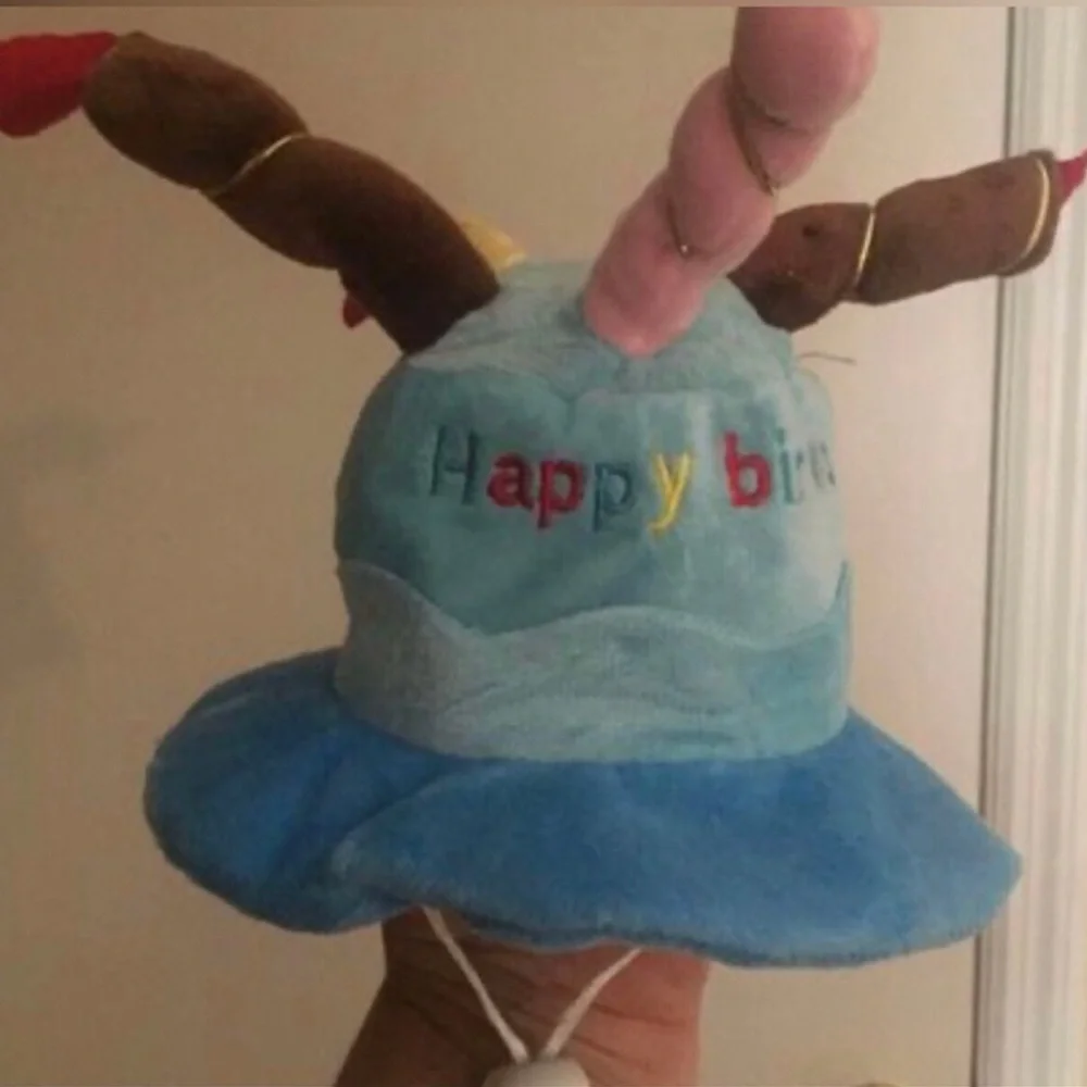 Dog Plush Blue 'Happy Birthday' Party Hat
